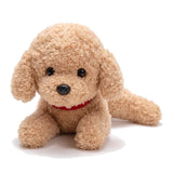 Peluche Caniche