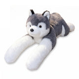 Peluche Husky XXL